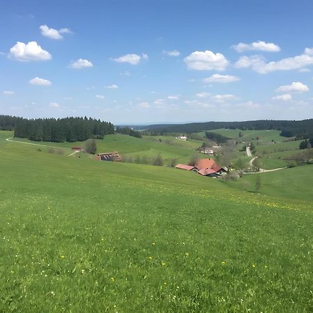 Blackforest Ferienwohnung Sankt Georgen im Schwarzwald Zewnętrze zdjęcie