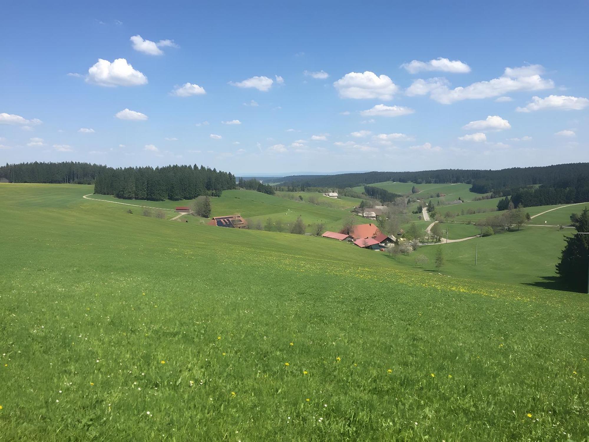 Blackforest Ferienwohnung Sankt Georgen im Schwarzwald Zewnętrze zdjęcie