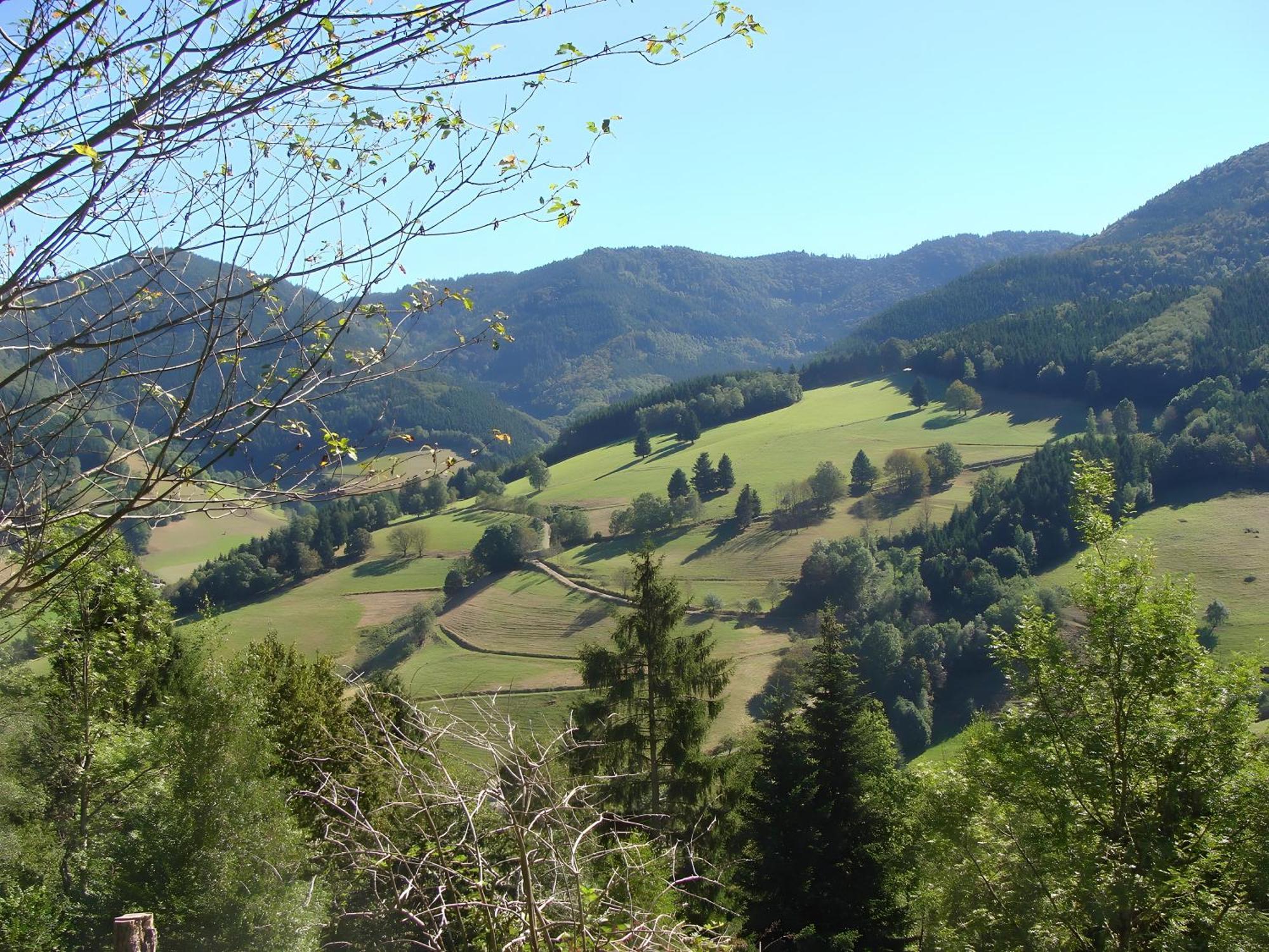 Blackforest Ferienwohnung Sankt Georgen im Schwarzwald Zewnętrze zdjęcie