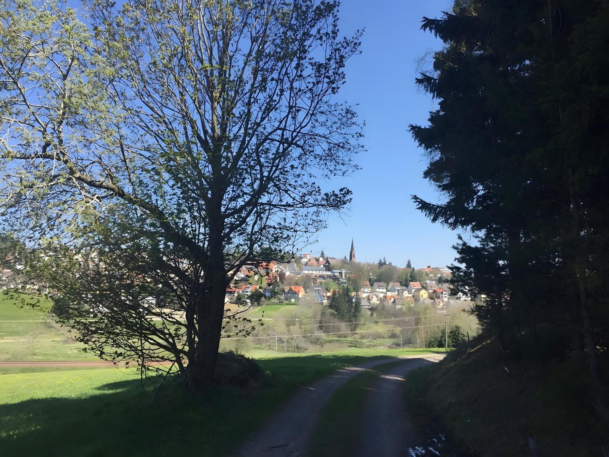 Blackforest Ferienwohnung Sankt Georgen im Schwarzwald Zewnętrze zdjęcie